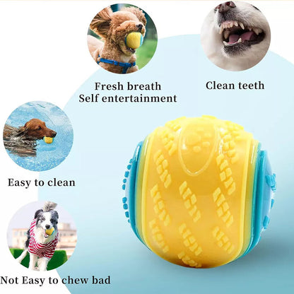Scooby-Doo Durable Squeaky set of 8 Dog Balls for teeth Cleaning Interactive