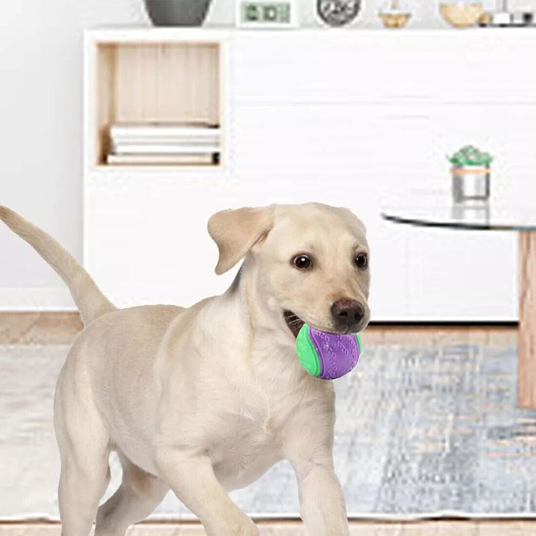 Scooby-Doo Durable Squeaky set of 8 Dog Balls for teeth Cleaning Interactive
